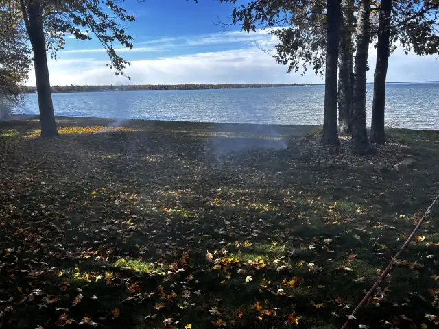Mist from a sprinkler head being blown out under the trees on a lakefront lawn