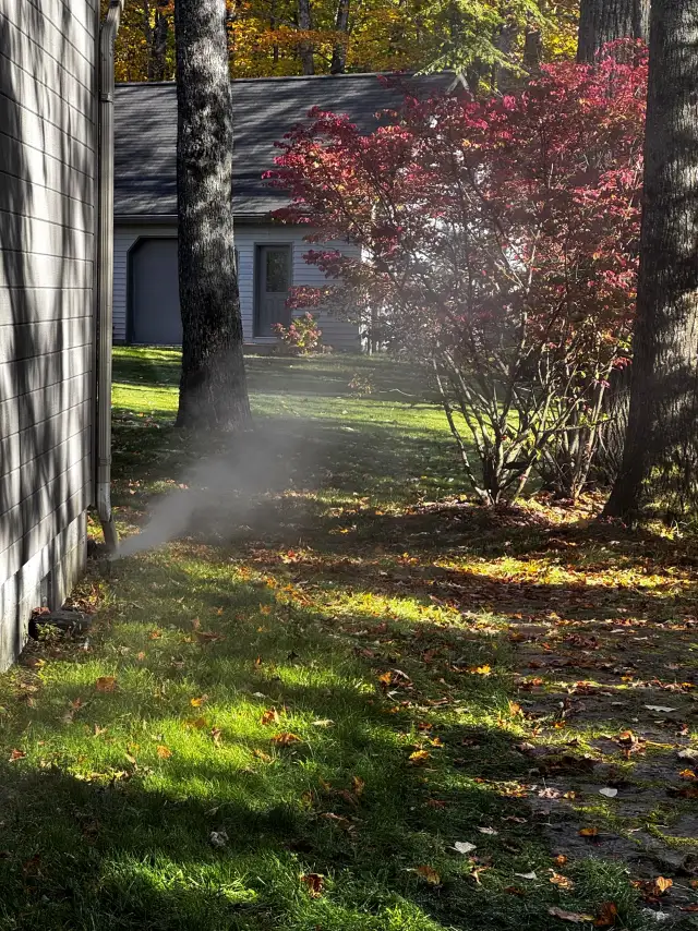 Sprinkler mist drifting across a side yard beside a red maple
