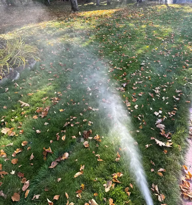A pop-up sprinkler head spraying air and water across a leaf-covered lawn during a blowout