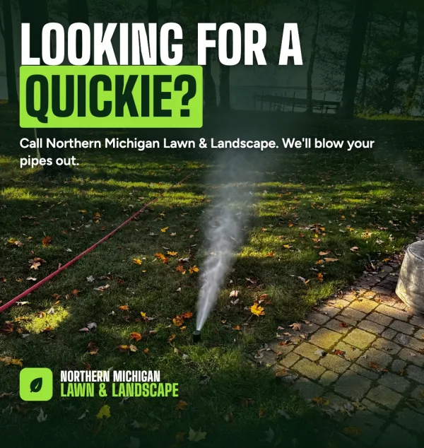 Northern Michigan Lawn & Landscape fall ad: Looking for a quickie?
